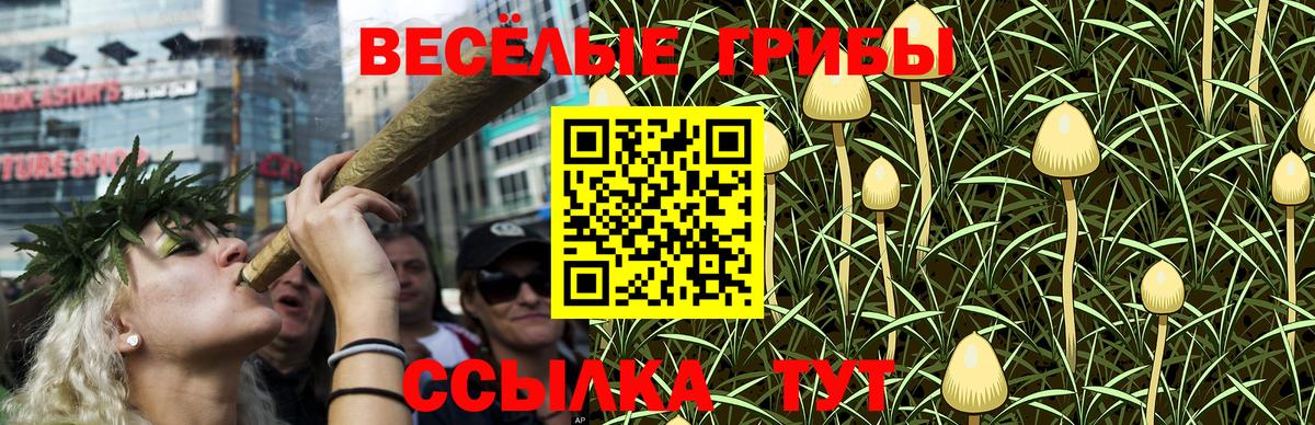 Галлюциногенные грибы GOLDEN TEACHER Димитровград