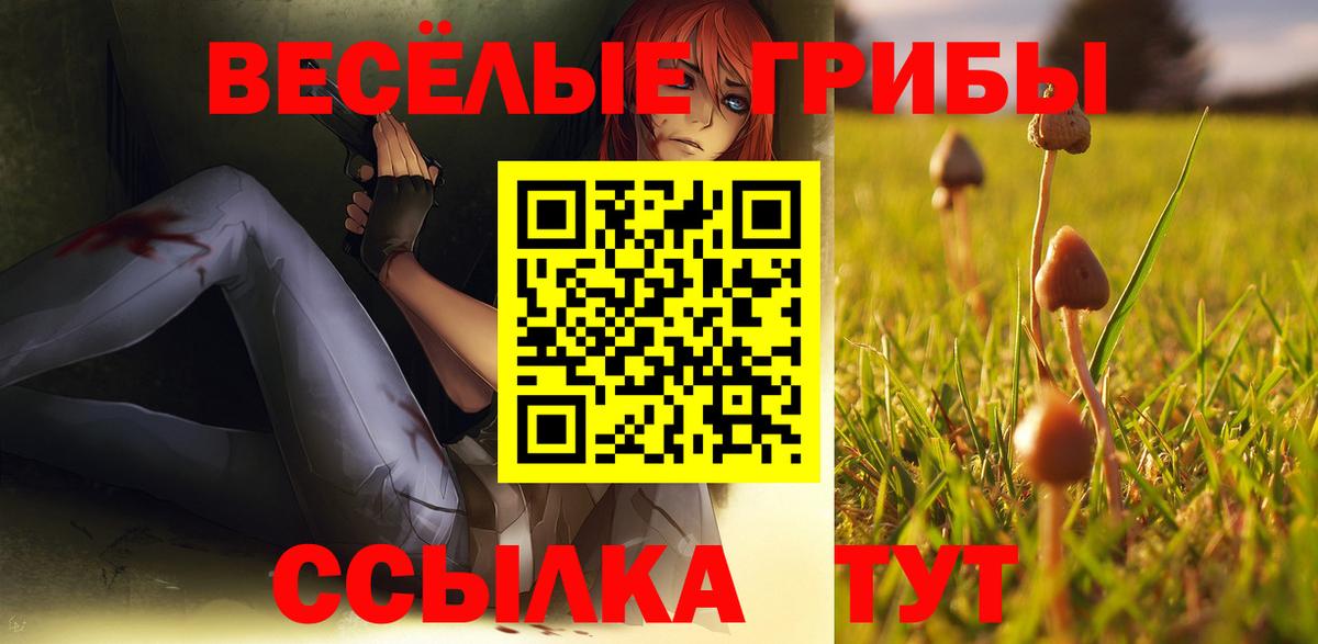 Галлюциногенные грибы прущие грибы  Вход с VPN  Димитровград 